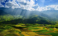 جاذبه های گردشگری ویتنام | آشنایی با جاذبه های رویایی