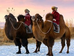 جشنواره مسابقات زمستانی در سرزمین آسمان آبی، مغولستان