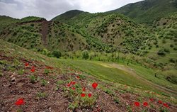 سفر به کردستان و غرب کشور | سفری به دیار غیوران کردستان