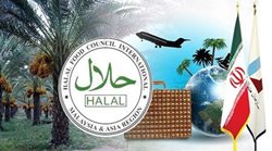 برنامه جدید گردشگری حلال | صدور گواهی برای راحتی گردشگران مسلمان