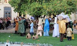 عروسی درخت بهار نارنج | آداب و رسوم شیراز