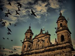 مقاصد توریستی کلمبیا | سفری جذاب این مناطق داشته باشید