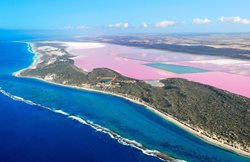 دریاچه صورتی استرالیا | دریاچه خوشرنگ در طبیعت
