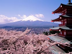 معرفی جاذبه های گردشگری ژاپن | از شهر شلوغ توکیو تا فوجی باشکوه