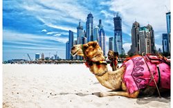 سفر خانوادگی به دبی | شش کاری که باید در دبی انجام بدهید