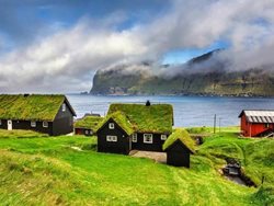 خانه های سبز اسکاندیناوی | خانه هایی با چمن های سبز