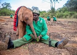 عکس منتخب نشنال جئوگرافیک | عشق یک فیل به انسان !!