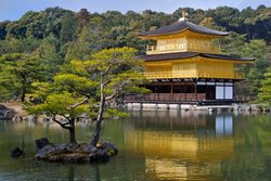 آشنایی با مهم ترین معابد ژاپن | عبادتگاه های دیدنی
