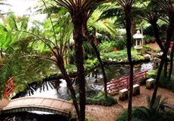 باغ ماژورل | زیبا ترین اثر هنری 40 سال عمر نقاش فرانسوی