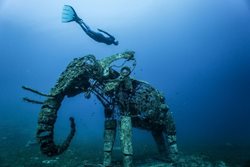 عکس منتخب نشنال جئوگرافیک | فیلی آهنین در زیر آب های دریای سرخ !!