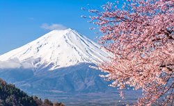 جستجو در کوه فوجی یاما کوه مقدس ژاپن