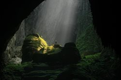 عکس منتخب نشنال جئوگرافیک | جنگلی در میان بزرگ ترین غار دنیا !!