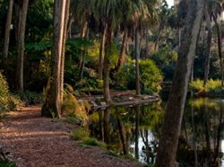 بک تاور گاردنز فلوریدا | مکانی اسرارآمیز برای گردشگران ماجراجو