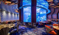 زیباترین هتل های زیر دریا در جهان را در اوج هیجان تماشا کنیم