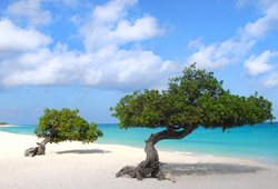 بهترین سواحل کارائیب | هیجان را در سفر به کارائیب تجربه کنید!