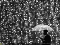 عکس منتخب نشنال جئوگرافیک | راه رفتن در باران
