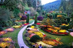 خاص ترین باغ های جهان| معرفی زیباترین و بهترین باغ های جهان