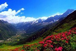 کوه های کارپات | طبیعتی زیبا در شرق اروپا !