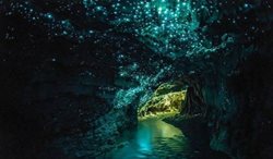 غارهای وایتومو در نیوزیلند | غارهایی با کرم های درخشنده