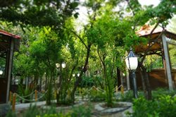بهترین باغ رستوران تهران | خنکای دلچسب باغ رستوران های تهران