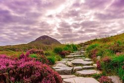 سفر با کوله پشتی به ایرلند | راهنمای کامل یک سفر ارزان به ایرلند