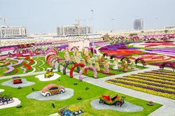 باغ گل معجزه دبی | بزرگترین باغ گل دیدنی دنیا