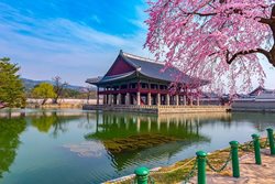سفر به کره جنوبی | دانستنی های سفر به کره جنوبی