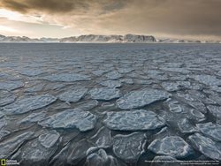 عکس منتخب نشنال جئوگرافیک | یخ دریاها