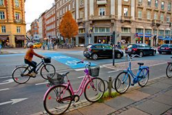 دوچرخه سواری در هلند | راهنمای تازه کاران در هلند