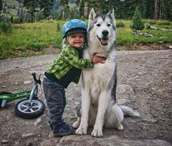 لوکی و سگ بی نظیری که سفر می کنند !