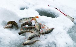 نه عدد از بهترین دریاچه های یخی اوهایو برای ماهیگیری