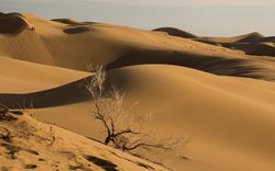 سفر به کویر مرنجاب، طبیعتی منحصر بفرد و بکر