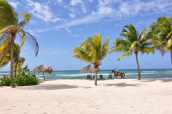 جاماییکا برای توسعه گردشگری از فناوری های دیجیتال استفاده می کند