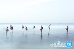عکس منتخب نشنال جئوگرافیک | ماهیگیری با چوب