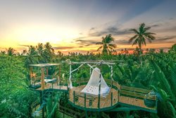 تجربه ای منحصر به فرد با اقامت در هتل درختی بانکوک
