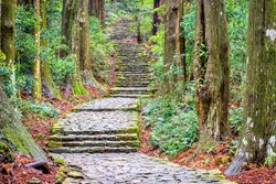 زیباترین پارک های ملی ژاپن که از چشم ها پنهان مانده اند