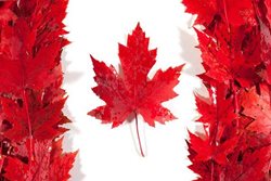شرایط دریافت ویزای کانادا، سفر به کشوری پیشرفته و رویایی