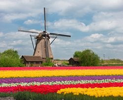 سفر به هلند | کشور زیبای گل ها و کانال ها
