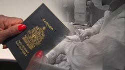 از توریسم تولد تا پاسپورت کانادایی