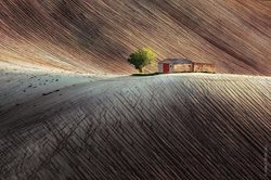 خانه ای تنها در تپه های مارچه ایتالیا + عکس