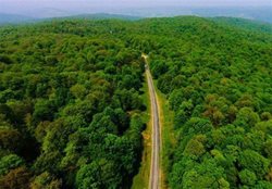 ثبت جهانی جنگل های هیرکانی بعد از 13 سال انتظار