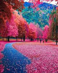 طبیعت زیبا و رنگارنگ پاییز در سوئیس + عکس