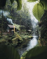 منظره زیبای کلبه های جنگلی در جمهوری چک + عکس