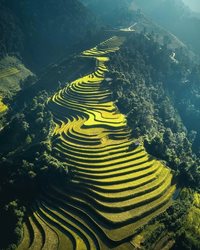مزارع زیبای پلکانی در ویتنام + عکس