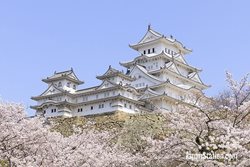 قصر هیمه جی، نخستین اثر جهانی ژاپن + تصاویر