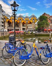 روتردام رویایی و زیبا + تصویر