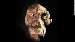 قدیمی  ترین انسان های اولیه به چه شبیه بودند؟