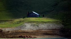 عکس های برگزیده محیط زیست رویترز | خشکسالی گریبان سوئیس را می گیرد