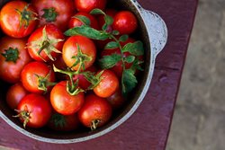 همراه با گوجه فرنگی موادغذایی سرشار از آهن نخورید