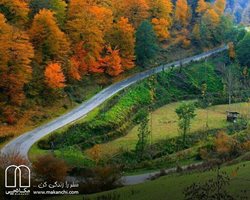 از تهران به مقصد دیدنی های سوادکوه و آمل | در مسیر طبیعت چند رنگ جنگل ها